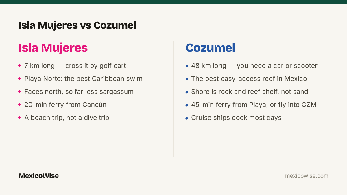 Isla Mujeres vs Cozumel: Isla Mujeres is a small island crossed by golf cart, holding Playa Norte — the best swimming beach on the Mexican Caribbean — twenty minutes by ferry from Cancun; Cozumel is far larger, with the best easy-access reef diving in Mexico, a rocky shoreline and cruise ships most days.